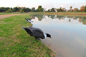 Lake at Lameroo, South Australia