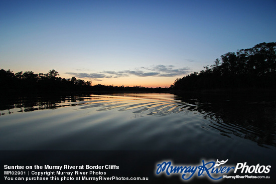 Sunrise on the Murray River at Border Cliffs