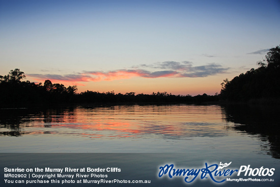 Sunrise on the Murray River at Border Cliffs