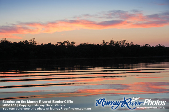 Sunrise on the Murray River at Border Cliffs