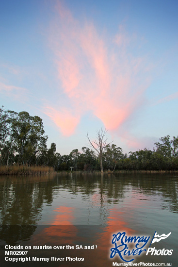 Clouds on sunrise over the SA and Victorian Border sign at Border Cliffs