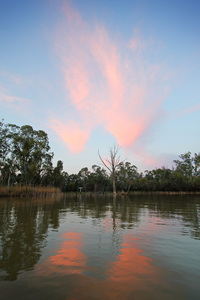 Clouds on sunrise over the SA and Victorian Border sign at Border Cliffs