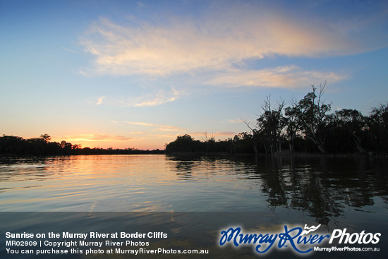 Sunrise on the Murray River at Border Cliffs