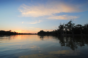 Sunrise on the Murray River at Border Cliffs