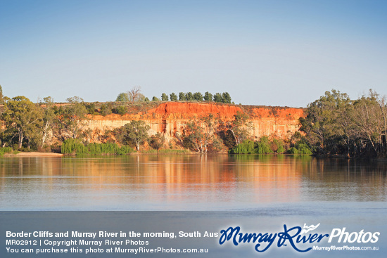 Border Cliffs and Murray River in the morning, South Australia