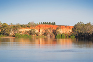 Border Cliffs and Murray River in the morning, South Australia