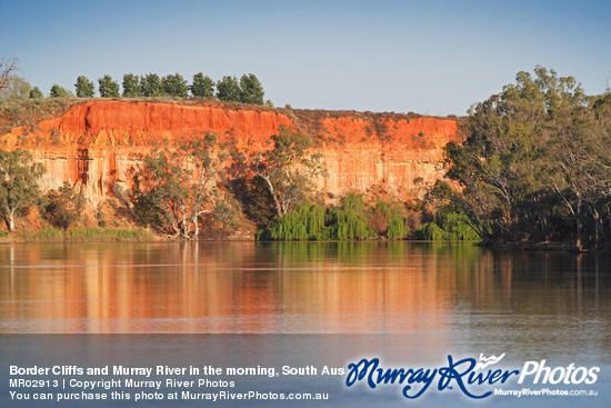 Border Cliffs and Murray River in the morning, South Australia