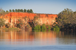 Border Cliffs and Murray River in the morning, South Australia