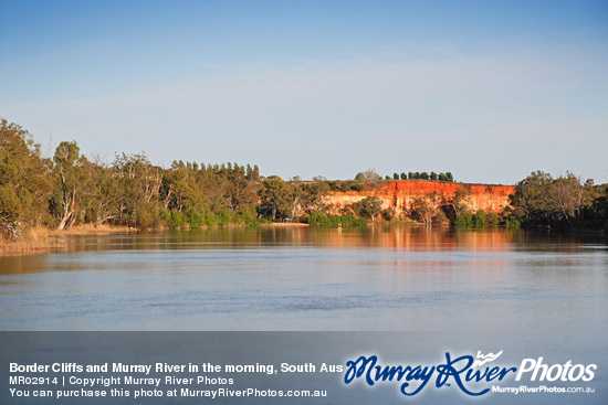 Border Cliffs and Murray River in the morning, South Australia