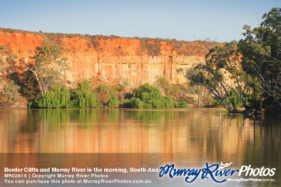 Border Cliffs and Murray River in the morning, South Australia