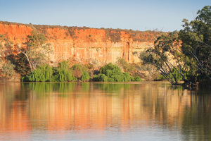 Border Cliffs and Murray River in the morning, South Australia