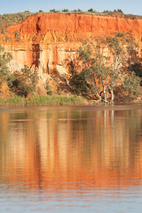 Border Cliffs and Murray River in the morning, South Australia