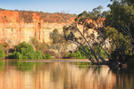 Border Cliffs and Murray River in the morning, South Australia