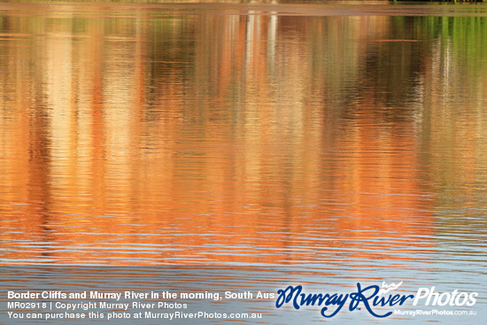 Border Cliffs and Murray River in the morning, South Australia