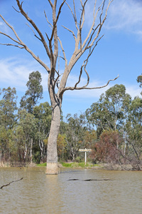 Victorian - South Australian border sign, Border Cliffs