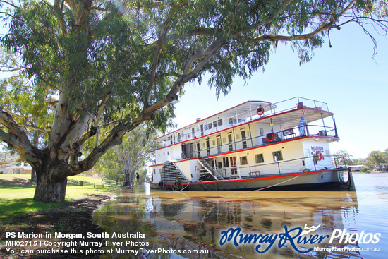 PS Marion in Morgan, South Australia