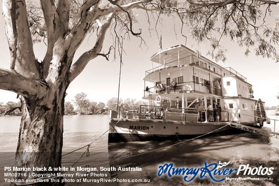 PS Marion black & white in Morgan, South Australia