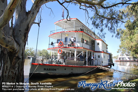 PS Marion in Morgan, South Australia