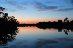 Sunrise on the Murray River at Border Cliffs