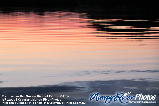 Sunrise on the Murray River at Border Cliffs