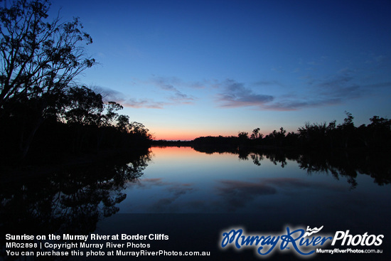 Sunrise on the Murray River at Border Cliffs