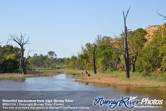 Beautiful backwaters from high Murray River