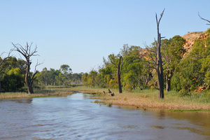 Beautiful backwaters from high Murray River