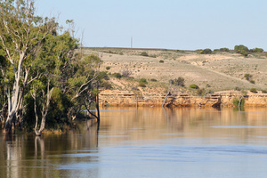 Cliffs and trees near Blanchetown