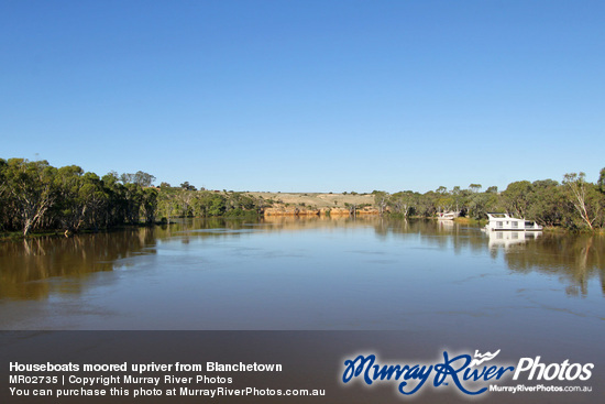 Houseboats moored upriver from Blanchetown