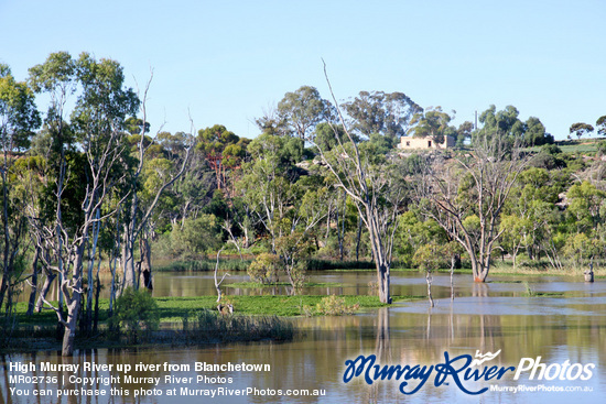 High Murray River up river from Blanchetown