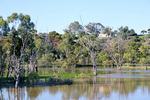 High Murray River up river from Blanchetown