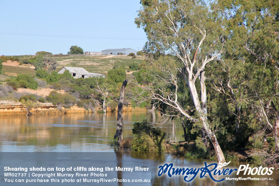 Shearing sheds on top of cliffs along the Murray River