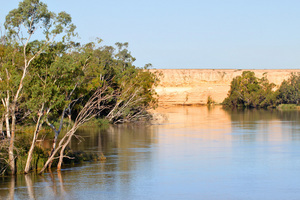 Cliffs and trees near Blanchetown