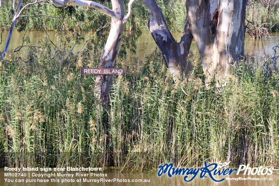 Reedy Island sign near Blanchetown