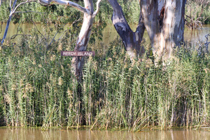 Reedy Island sign near Blanchetown