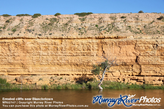 Erroded cliffs near Blanchetown