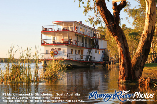 PS Marion moored in Blanchetown, South Australia