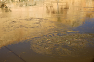 Swirling river and reflections from the Murray River