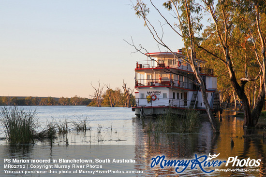 PS Marion moored in Blanchetown, South Australia