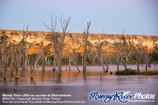 Murray River cliffs on sunrise at Blanchetown