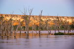 Murray River cliffs on sunrise at Blanchetown