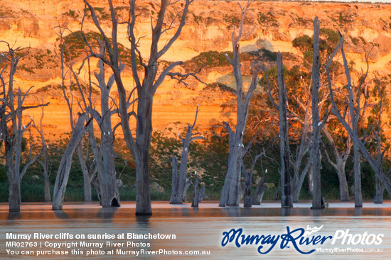 Murray River cliffs on sunrise at Blanchetown