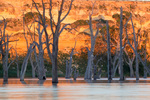 Murray River cliffs on sunrise at Blanchetown