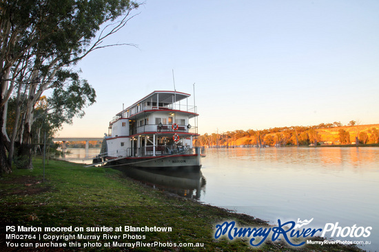 PS Marion moored on sunrise at Blanchetown