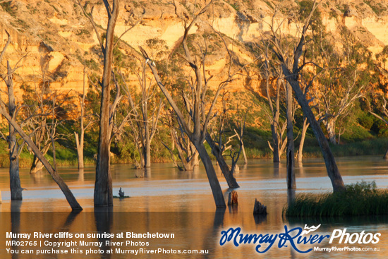 Murray River cliffs on sunrise at Blanchetown