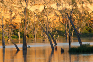 Murray River cliffs on sunrise at Blanchetown