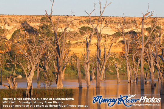 Murray River cliffs on sunrise at Blanchetown