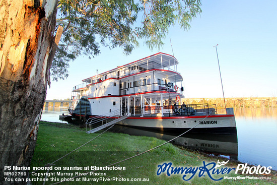 PS Marion moored on sunrise at Blanchetown