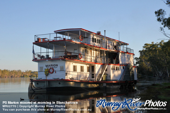 PS Marion moored at morning in Blanchetown