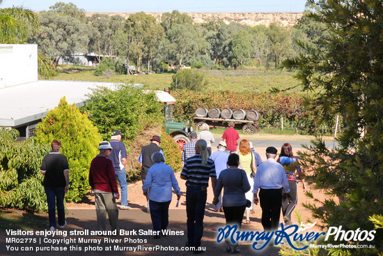 Visitors enjoying stroll around Burk Salter Wines